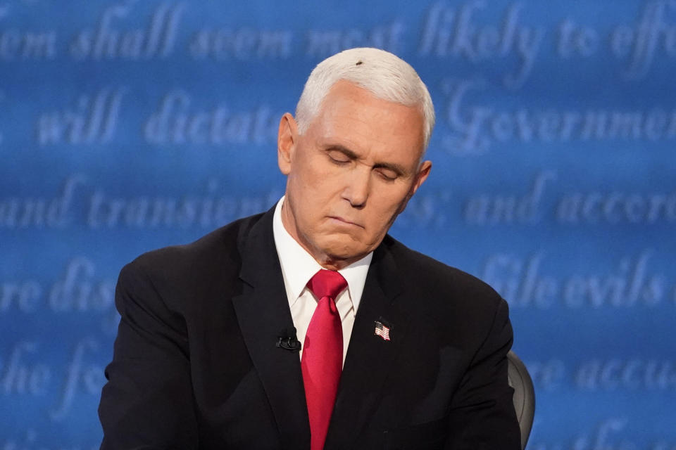 Vice President Mike Pence has a visitor as he listens to Democratic vice presidential candidate Kamala Harris during the vice presidential debate Wednesday. (Photo: Julio Cortez/ASSOCIATED PRESS)