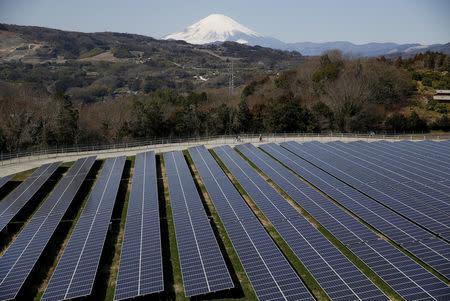 Solar panels are seen at a solar power facility as snow covered Mount Fuji is background in Nakai town, Kanagawa prefecture, Japan, March 1, 2016. REUTERS/Issei Kato/File Photo