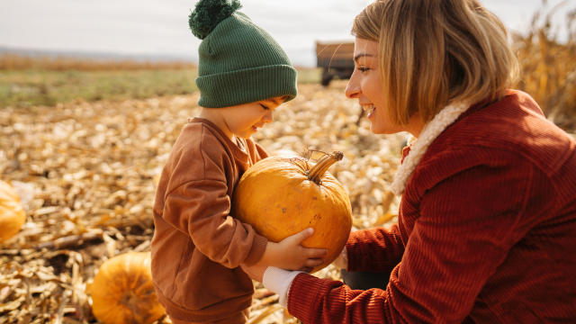 Halloween Sees a Surge in Popularity – and Anticipated Spending, Best  States