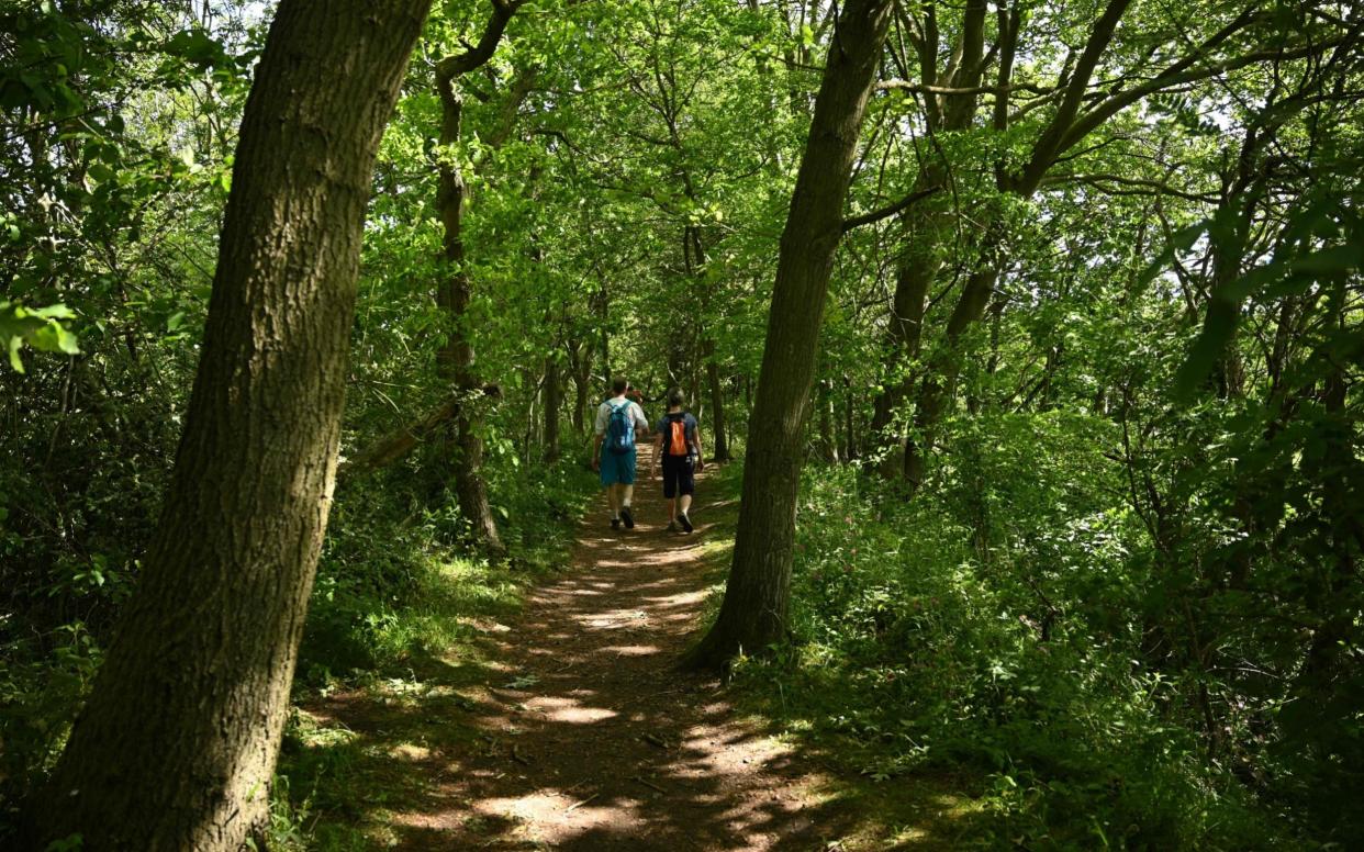 Local people walk in the woods in Co Durham - OLI SCARFF/AFP