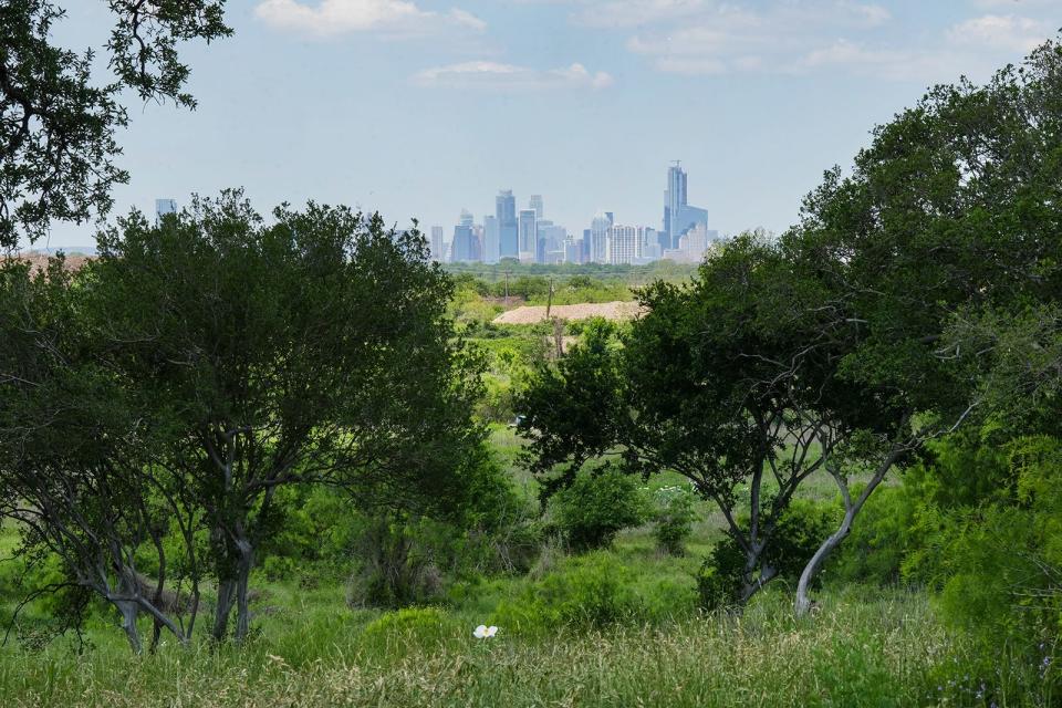 The Austin skyline is seen from land that will soon be developed into Austin Beach Club in East Austin Wednesday, April 12, 2023. The new members-only golf course and spa retreat is being developed on 63 acres along the Colorado River. 