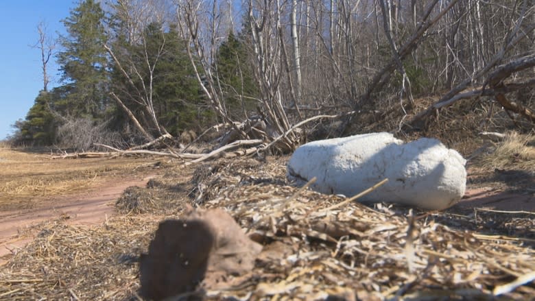 Environmental group having hard time cleaning up Murray Harbour beach
