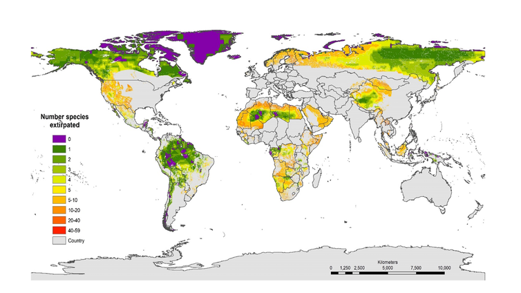 A world map highlighting areas where