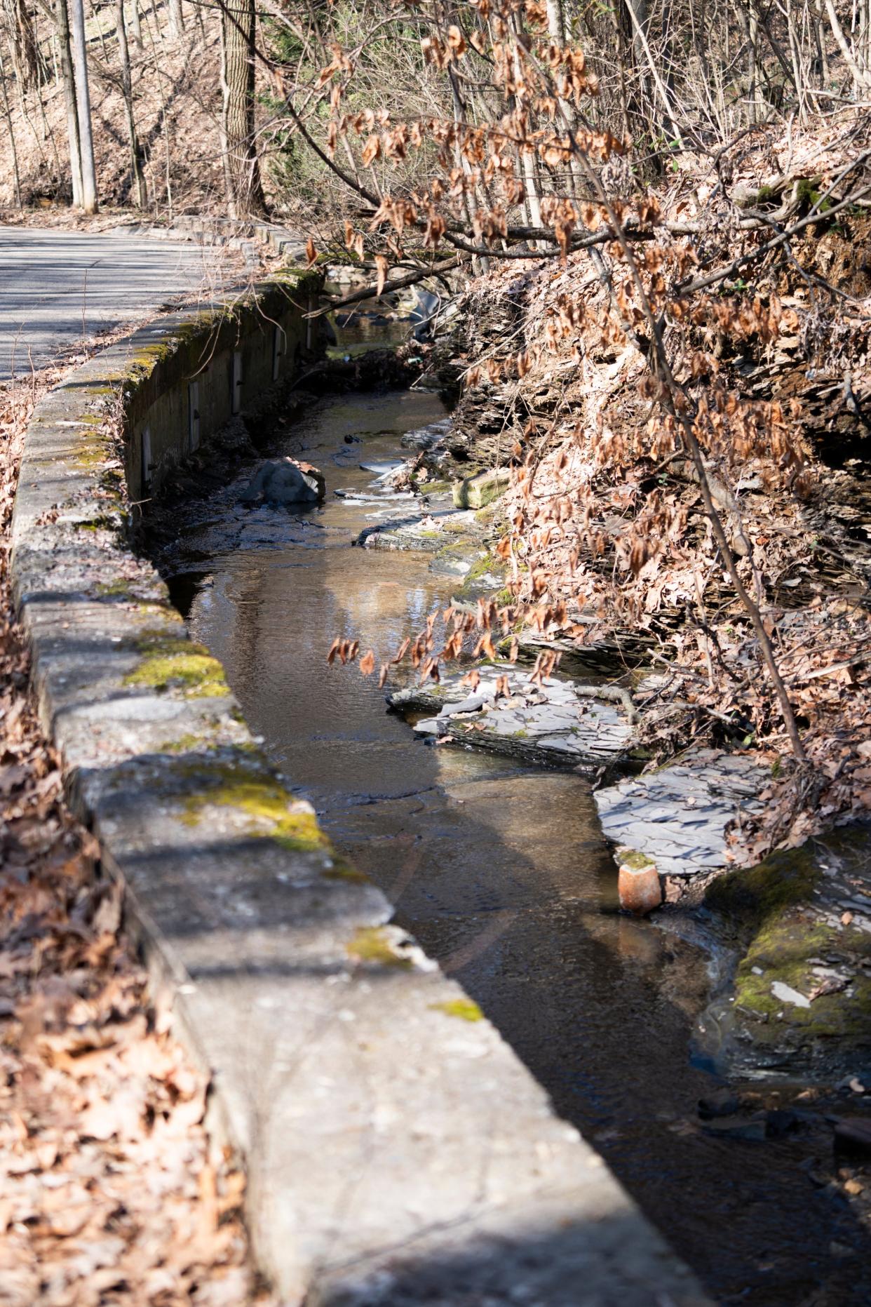 A section of the creek closer to High Street already has a retaining wall. The city is creating a plan to deal with storm water in Walhalla Ravine, including possibly a retaining wall and guardrail along the road between Clinton Heights and Longview avenues, west of Indianola.