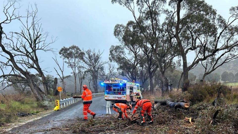 Clean up operation underway after stoms battered south east Australia