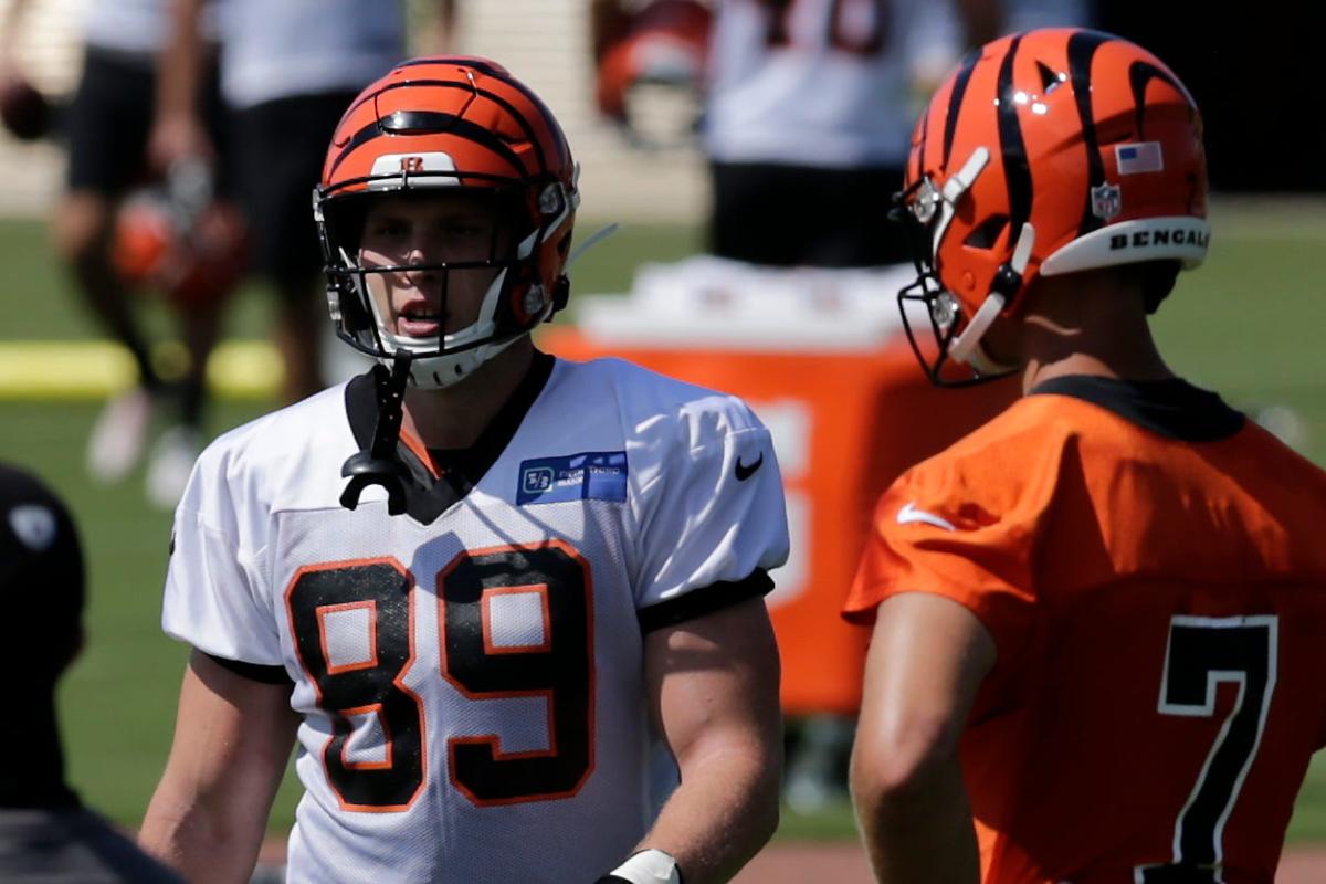 Drew Sample - Cincinnati Bengals Tight End - ESPN