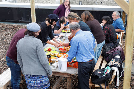 Post office employees work on a 900 square meters farm garden on the rooftop of their postal sorting center, as part of a project by Facteur Graine (Seed Postman) association to transform a city rooftop as a vegetable garden to grow fruits, vegetables, aromatic and medicinal plants, with also chickens and bees in Paris, France, September 22, 2017. Picture taken September 22, 2017. REUTERS/Charles Platiau