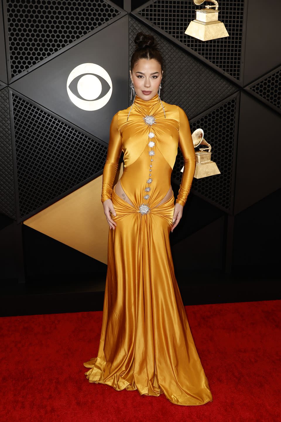 the 66th annual grammy awards