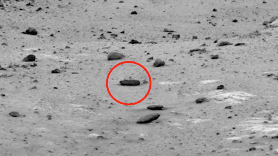 UFO expert, Scott Waring claims to have found a satanic-alien life form found on Mars. Photo: www.ufosightingsdaily.com