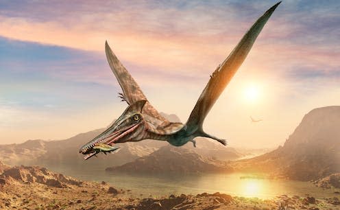 <span class="caption">Pterosaurs are not dinosaurs</span> <span class="attribution"><a class="link " href="https://www.shutterstock.com/image-illustration/pterosaur-scene-3d-illustration-1139237801" rel="nofollow noopener" target="_blank" data-ylk="slk:Warpaint/Shutterstock;elm:context_link;itc:0;sec:content-canvas">Warpaint/Shutterstock</a></span>