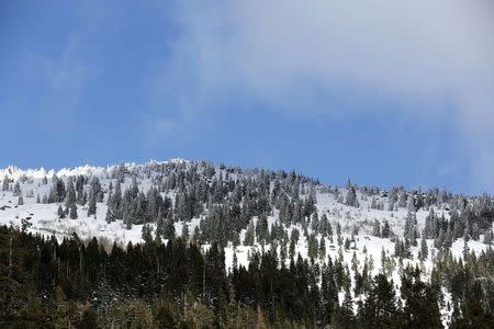 An above-average amount of snow covers the mountains during the first snow survey of winter conducted by the California Department of Water Resources near Phillips, California, December 30, 2015. REUTERS/Fred Greaves