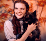 Toto - The Wizard of Oz Toto from The 'Wizard of Oz’ (real name: Terry) was a real acting pro. Prior to ‘Oz’, Terry had been in six feature films. Post-‘Oz’, a further eight. Incredibly, Terry used to earn more than most of the human actors on-set. She picked up $125 per week on 'The Wizard of Oz’ – a fair old amount in 1939.