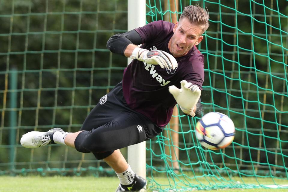 Safe hands: Adrian will likely see his game time limited at West Ham this season: West Ham United via Getty Images