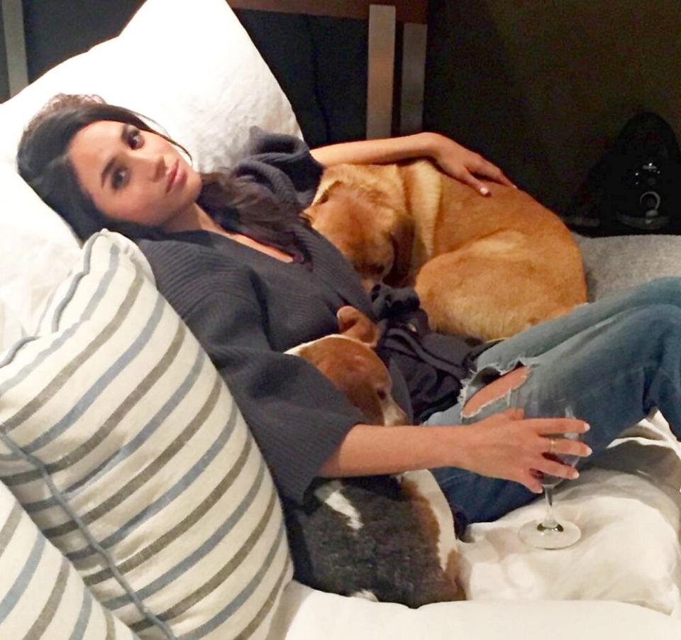 Meghan Markle with her dogs, Bogart and Guy | Meghan Markle/Instagram