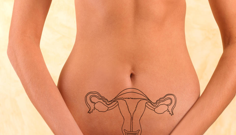 Dibujo de las trompas de falopio en el cuerpo de una mujer (Foto: Getty)