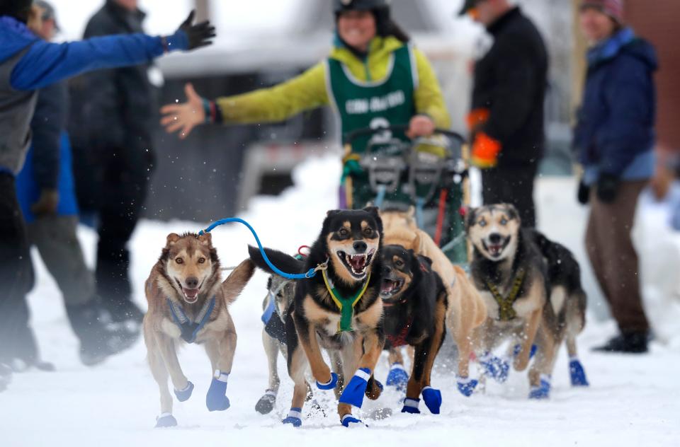 Sally Manikian, of Shelburne, N.H., gets a high five as her Alaskan huskies charge from the start of the Irving Woodlands Can-Am Crown sled dog race in 2018 in Fort Kent, Maine.