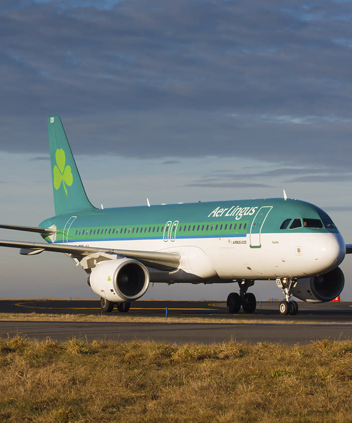 Man dies on Aer Lingus flight after biting another passenger