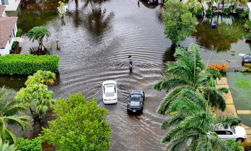 In an aerial view, a person walks through a flooded street on June 13, 2024, in Hallandale Beach, Florida (Getty Images)