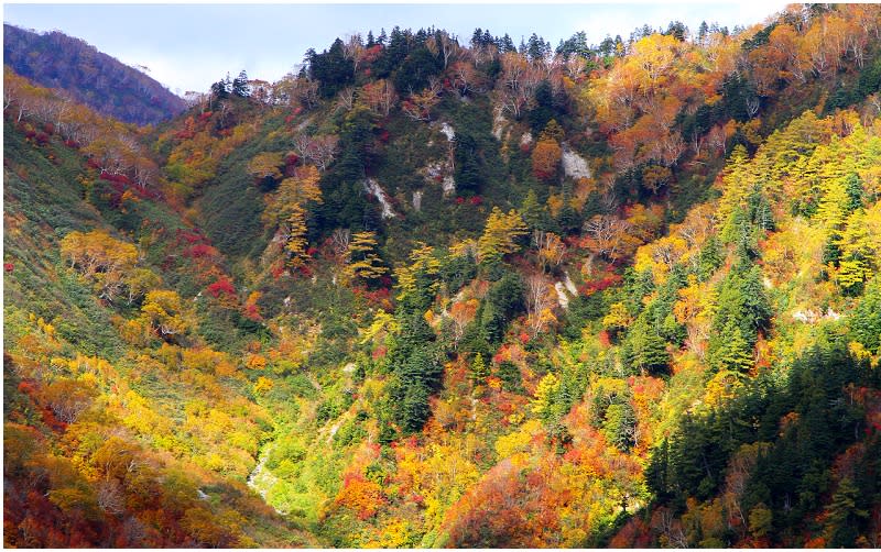 日本立山黑部阿爾卑斯山脈路線