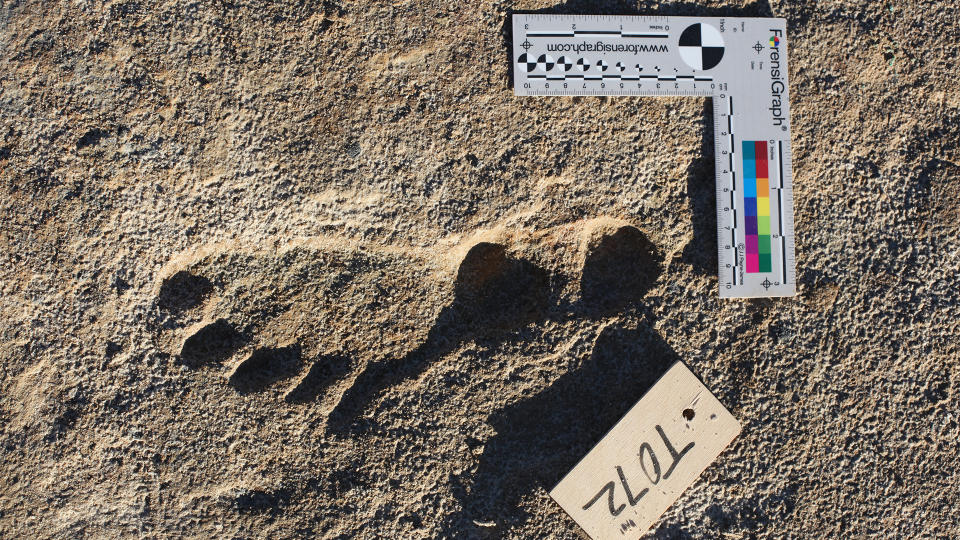 A single human footprint in the sand, marked with a right angle to show scale.