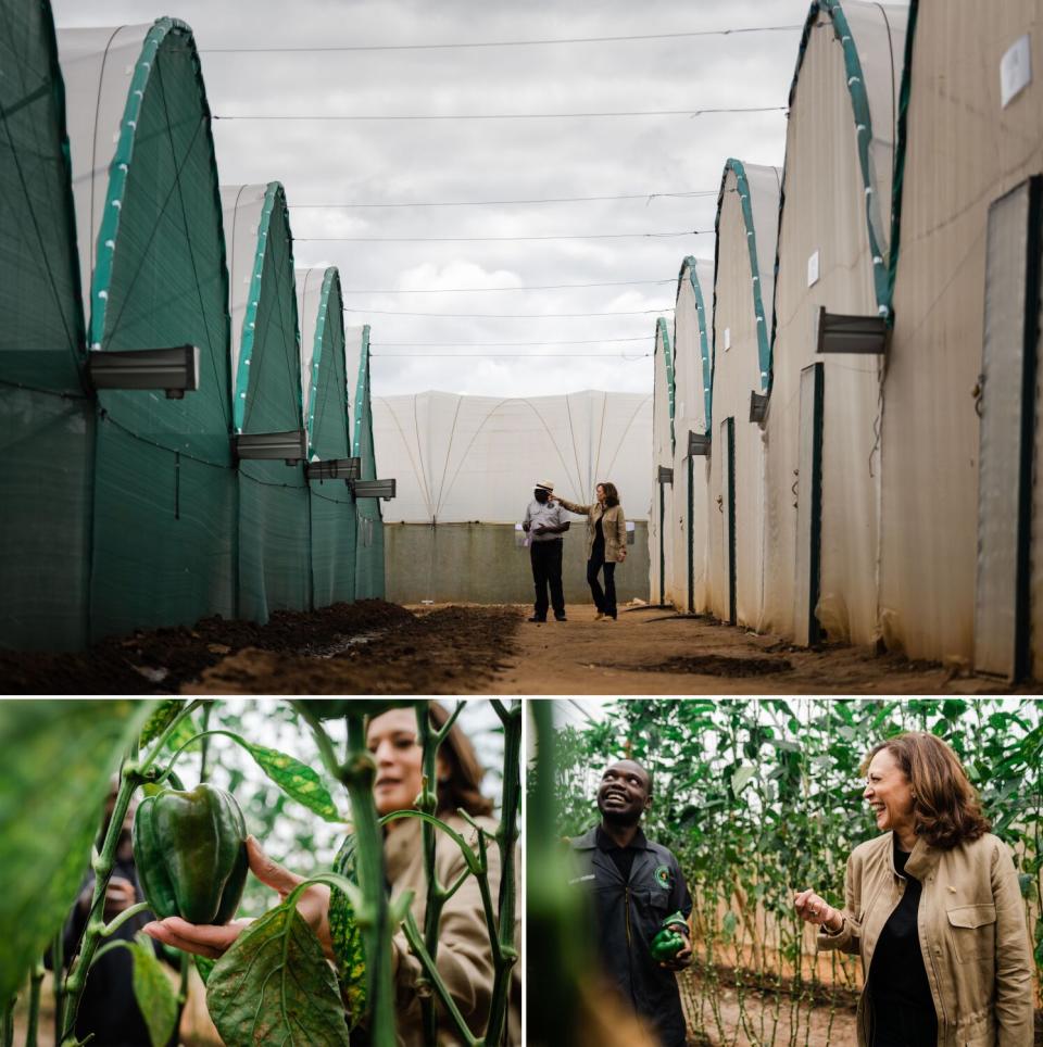 Panuka Enterprise Ltd. founder Bruno Mweemba gives Vice President Kamala Harris a tour of Panuka Farm