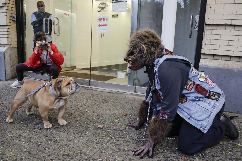 A bulldog named "Prince Chunk", left, barks at Dwayne Steeler, right, dressed as a werewolf for the Greenwich Village Halloween Parade, Thursday, Oct. 31, 2019, in New York. (AP Photo/Frank Franklin II)