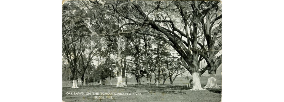 Photograph of an oak lawn on the Tchoutacabouffa River in Biloxi