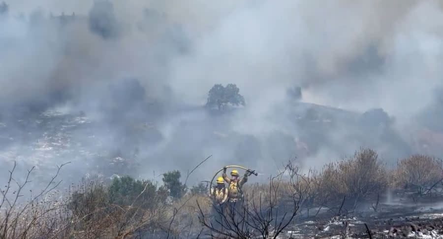 A brush fire has forced officials to issue an evacuation order in Thousand Oaks on Saturday, July 6, 2024. (Robert Navarro)