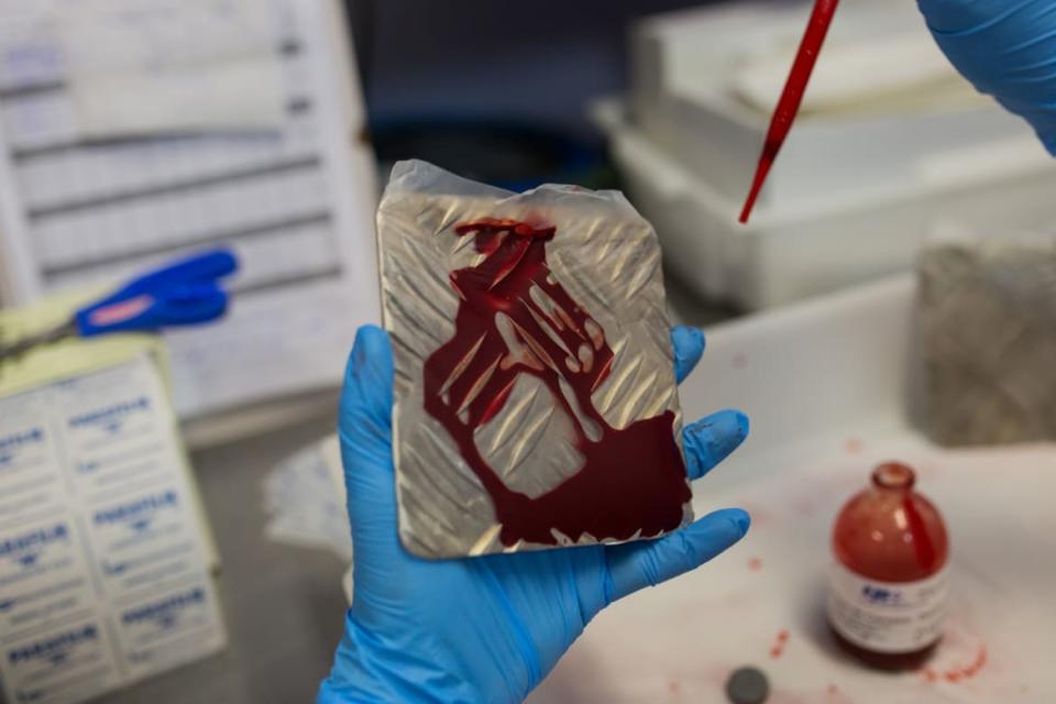 <div class="inline-image__caption"><p>A biologist puts blood on iron plates to feed the females of the nursery that produces genetically modified mosquitoes in Campinas, Brazil. </p></div> <div class="inline-image__credit">Victor Moriyama/Getty</div>