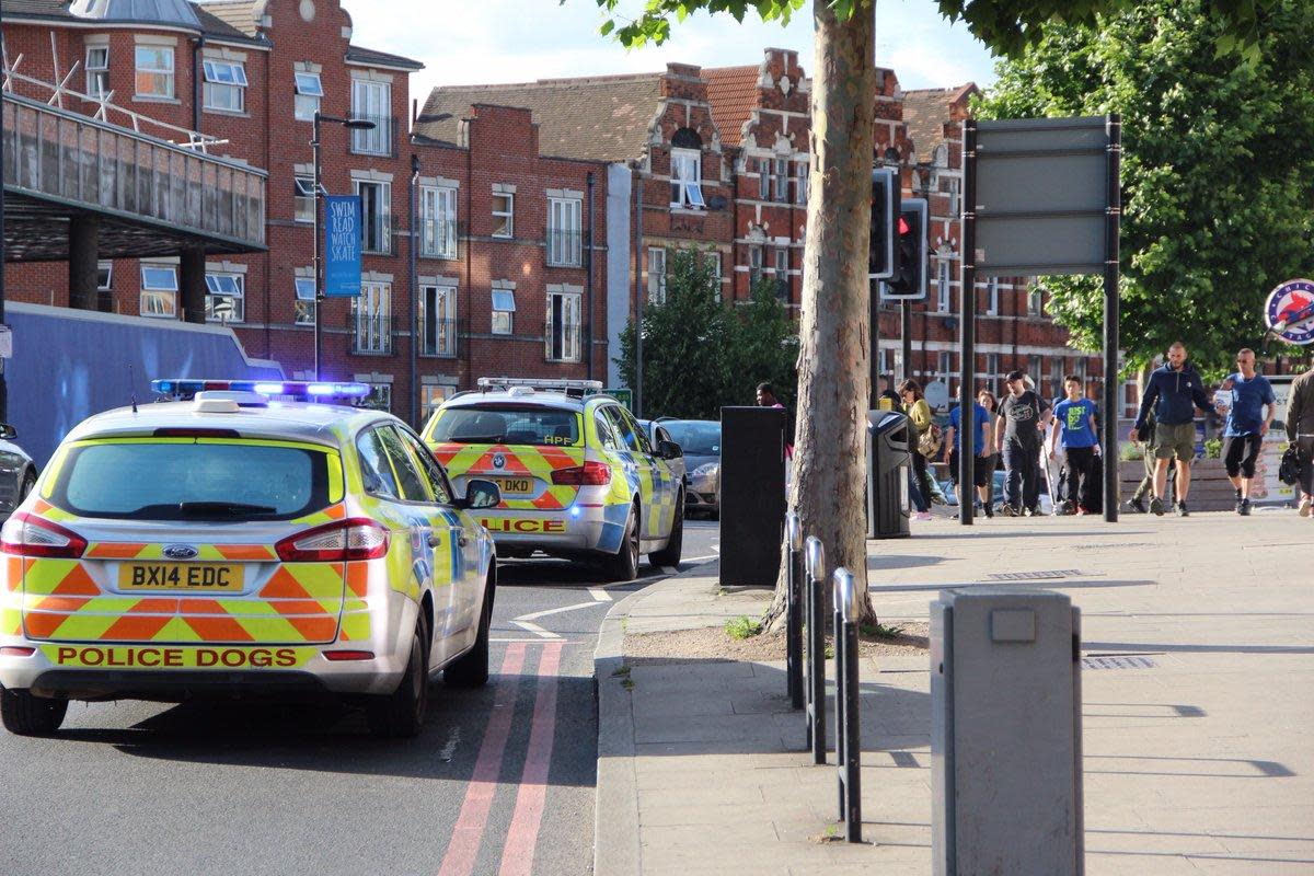 File picture of Streatham police incident  (Twitter/EJ Ward)