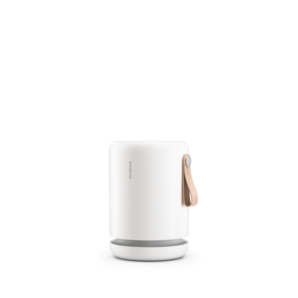 Molekule Air Mini Plus Purifier