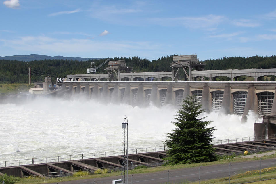 FILE - In this June 27, 2012, file photo, water flows through the Bonneville Dam near Cascade, Ore. Two prominent Pacific Northwest tribes are calling for the removal three major hydroelectric dams on the Columbia River. The Lummi Nation and the Yakama Nation said on Monday, Oct. 14, 2019, the U.S. government was in violation of a treaty from 1855 when it built the concrete dams on the lower Columbia River, destroying important native fishing sites and the migration of salmon. (AP Photo/Rick Bowmer, File)