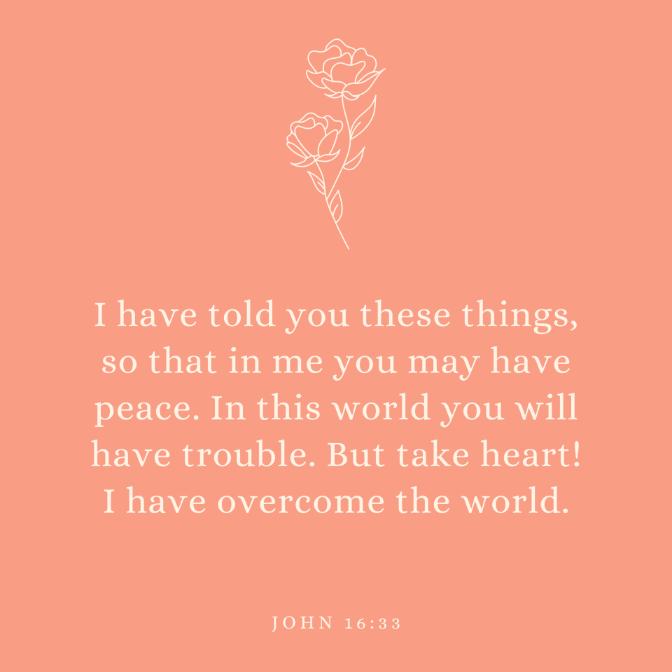John 16:33 I have told you these things, so that in me you may have peace. In this world you will have trouble. But take heart! I have overcome the world.