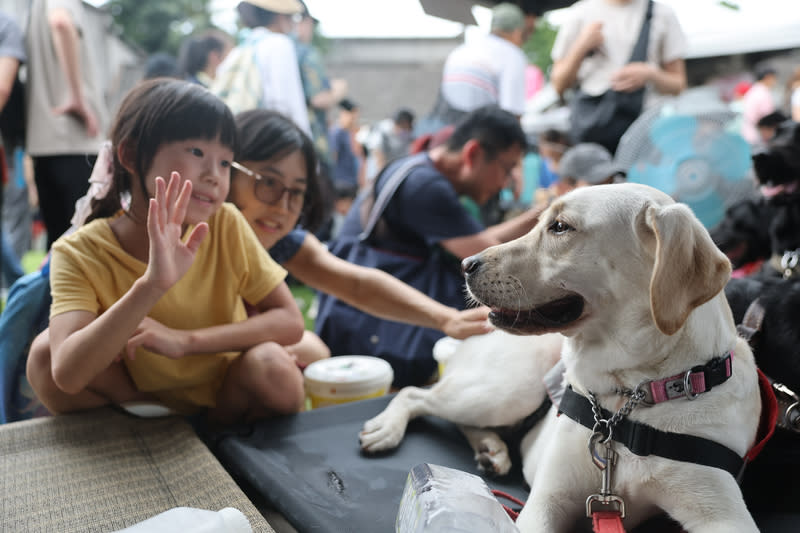 導盲犬公益園遊會台北舉行（1） 113年度導盲犬公益宣導活動「攜愛導盲犬 點亮心視 界」15日在台北華山1914文化創意產業園區登場，現 場安排多隻導盲犬參與，歡迎大小朋友近距離互動、 認識導盲犬。 中央社記者王飛華攝　113年6月15日 