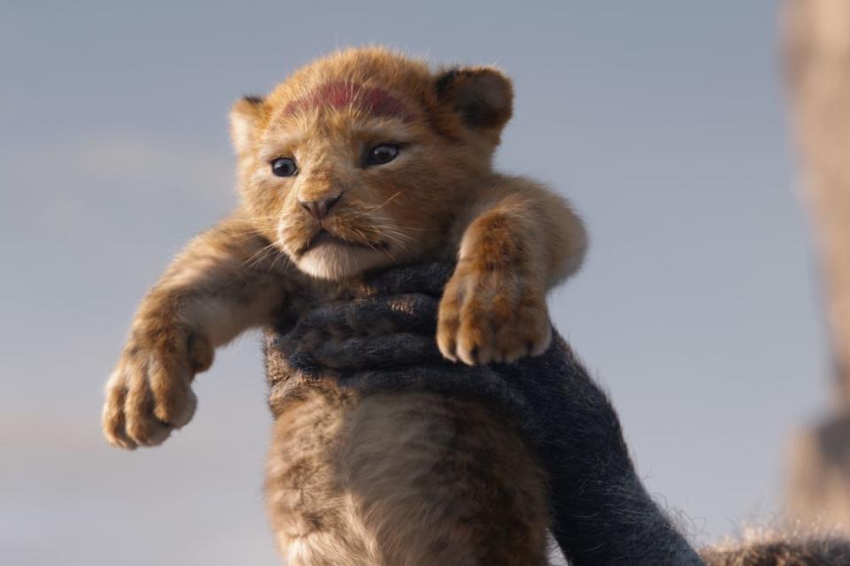 Simba in The Lion King (Credit: Disney)