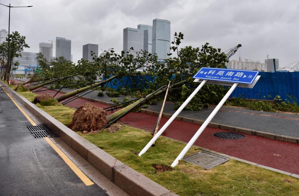 <p>Photo taken on Aug. 23, 2017 shows broken trees in Shenzhen, south China’s Guangdong Province. (Photo: Mao Siqian/Xinhua via ZUMA Wire) </p>