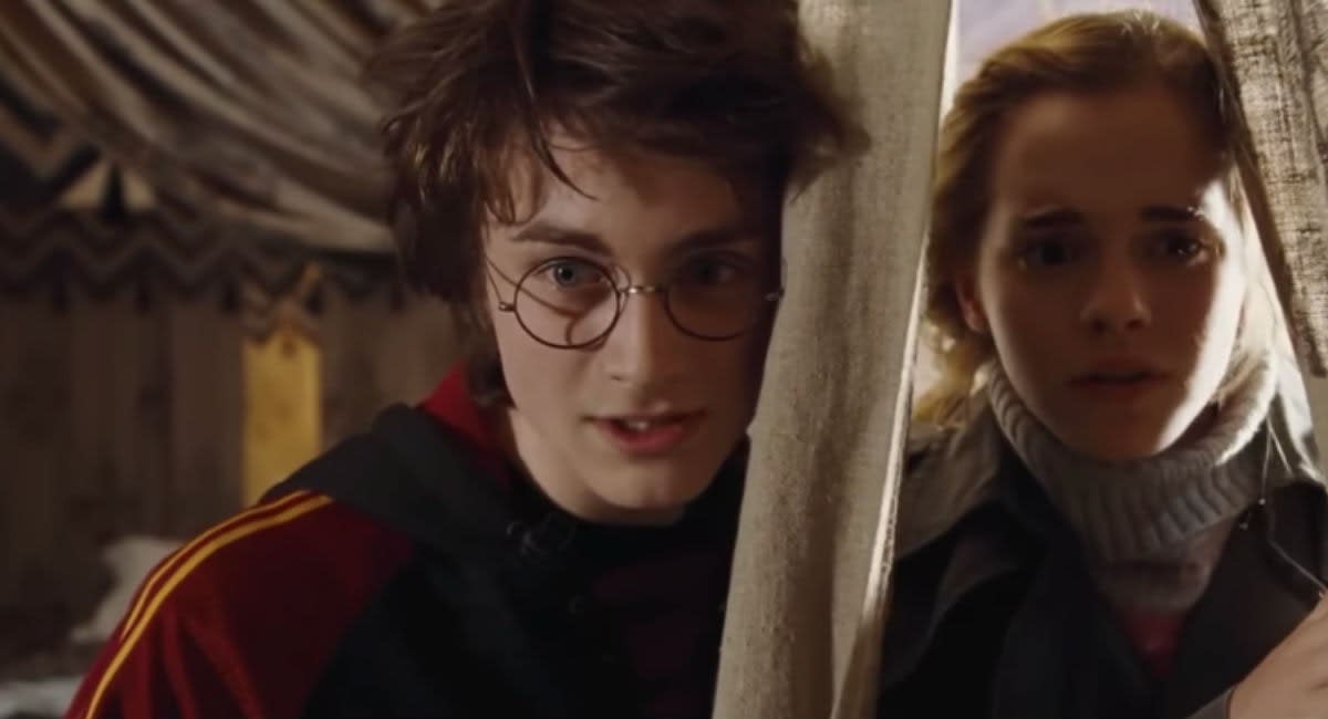 Harry Potter Goblet Of Fire Porn - Is Harry Potter a Nerd or a Jock? The Internet is Freaking Out