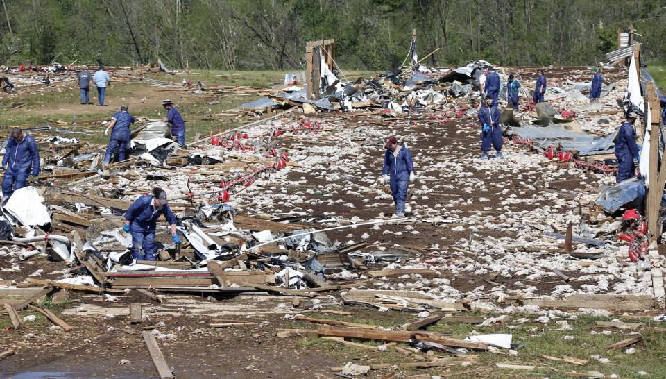 Tyson Foods workers continue tornado cleanup at Wilkes Farm, an 8-chicken house operation that was leveled in Noxapater, Miss., Wednesday, April 30, 2014. The farm raises broilers for Tyson and each house has 28,500 chickens. Several poultry raising farms near Louisville were damaged or destroyed by tornadoes Monday. (AP Photo/Rogelio V. Solis)