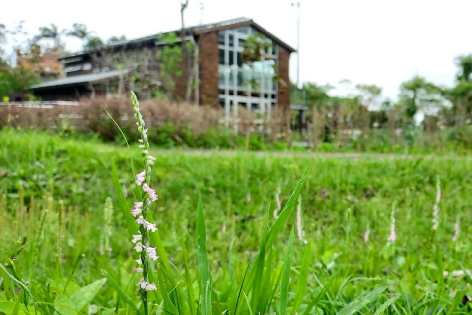 南港山水綠生態公園「創能、儲能示範場域」，供電已達自給自足