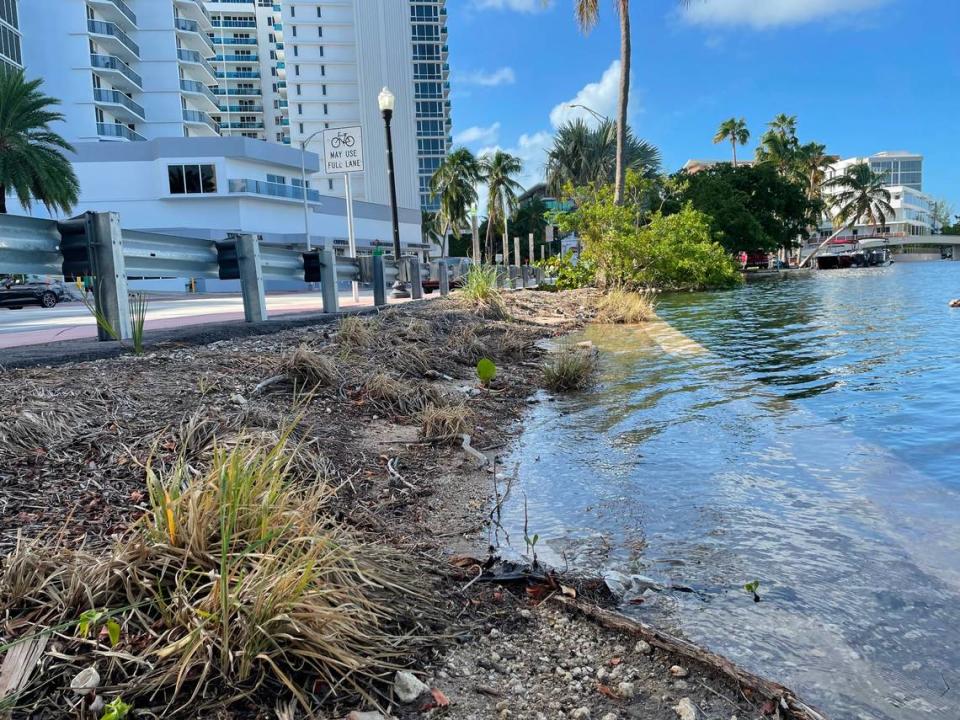 El agua rebasa el nivel de la acera que bordea Indian Creek Drive en Miami Beach el 8 de noviembre de 2022.