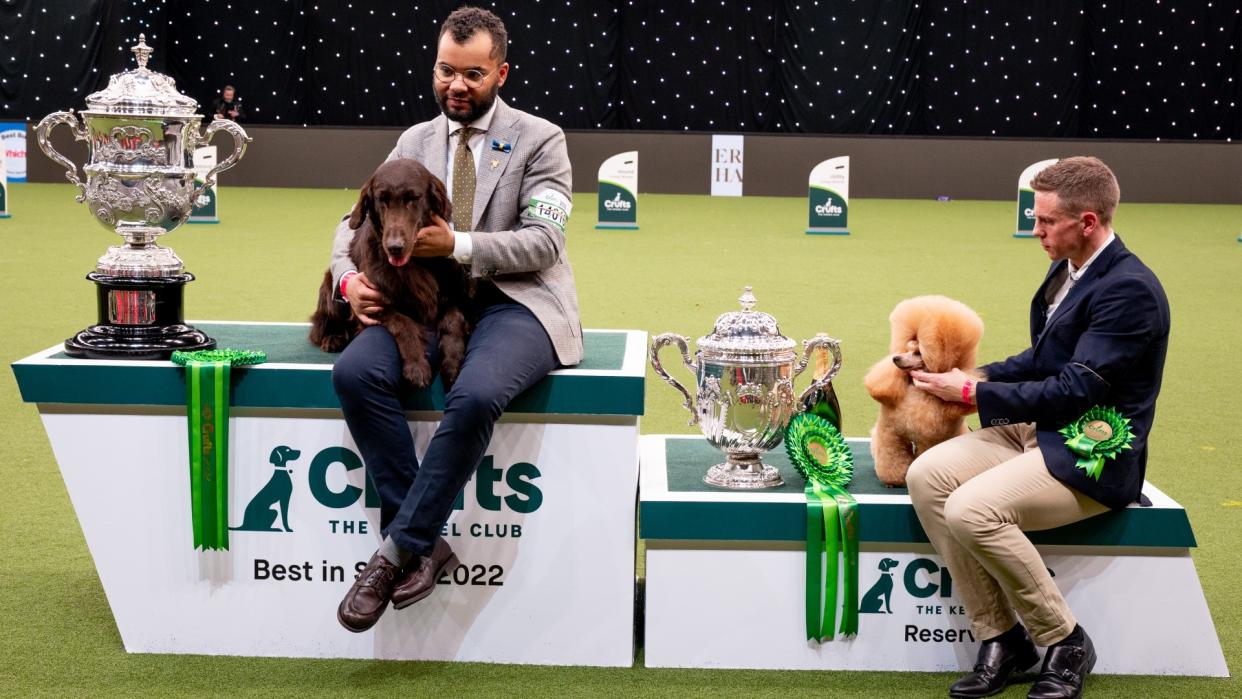  Winners of Crufts Dog Show 2022 