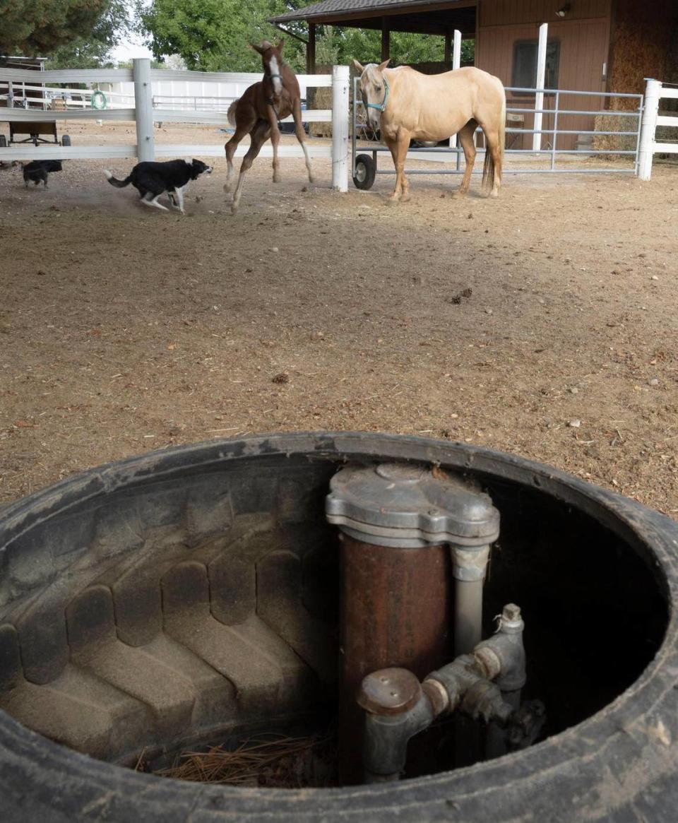 A ground water fixture, guarded by a rubber tire to keep the horses away, is the only clue that Betty Bermensolo relies on a well for her drinking water. Bermensolo owns a 6.5-acre parcel of land where she trains and breeds horses in Southwest Boise.