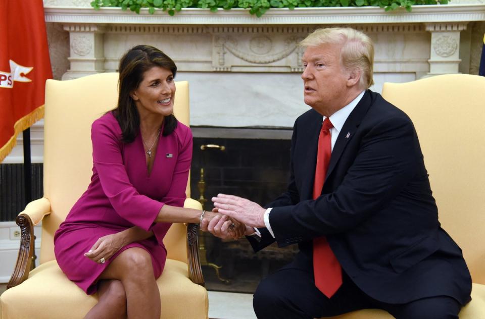 Trump has been critical of his former UN Ambassador Nikki Haley including calling her “birdbrain” (AFP via Getty Images)