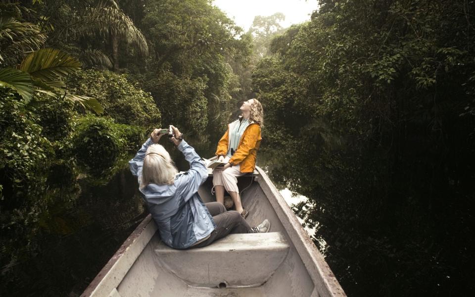  Tortuguero National Reserve - Getty