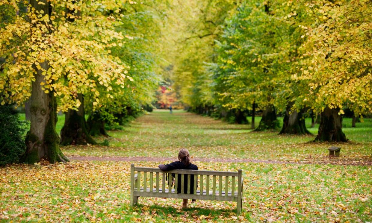 <span>The Oxford English Dictionary appears to be the only dictionary that has a definition of nature that mentions humans.</span><span>Photograph: Andrew Fox/Alamy</span>