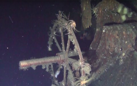 Wreckage of Russian Imperial Navy cruiser Dmitrii Donskoi - Credit: Donskoii