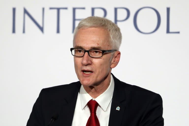 Jurgen Stock, secretary general of Interpol, said the agency remains "neutral and independent"