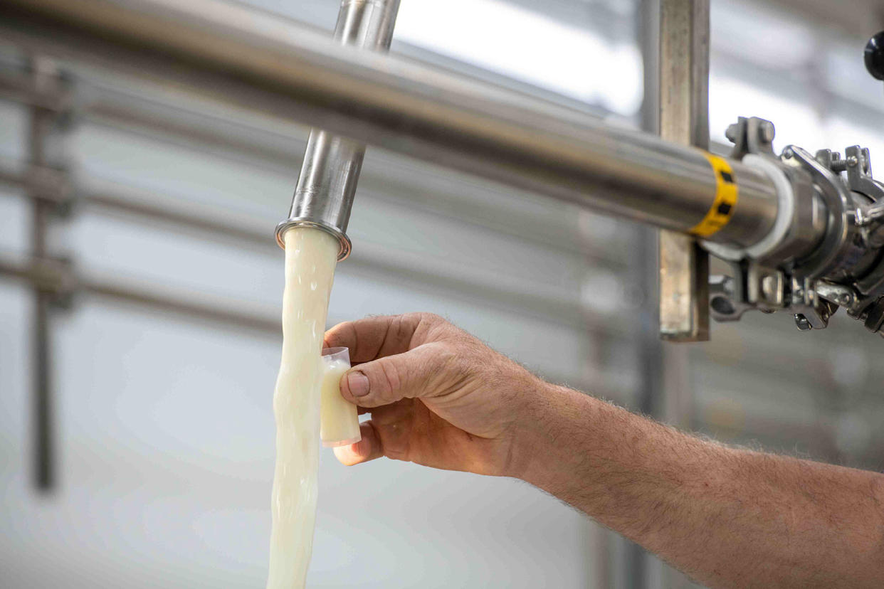 Farmer taking a raw milk sample Edwin Remsberg/VW Pics/Universal Images Group via Getty Images