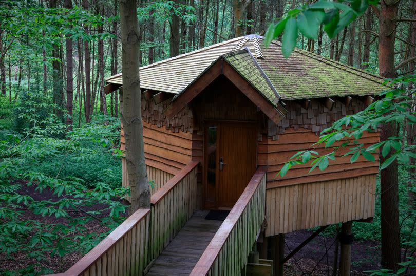 The treehouses also have a games area and snug