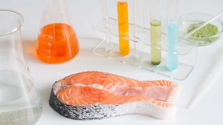 salmon steak on laboratory table